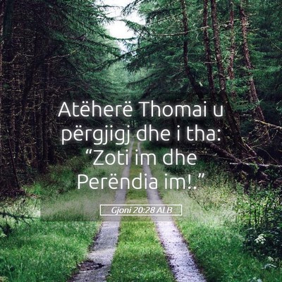 Picture 05 - Gjoni 20:28 ALB - Atëherë Thomai u përgjigj dhe i tha: “Zoti - Bible Verse Picture