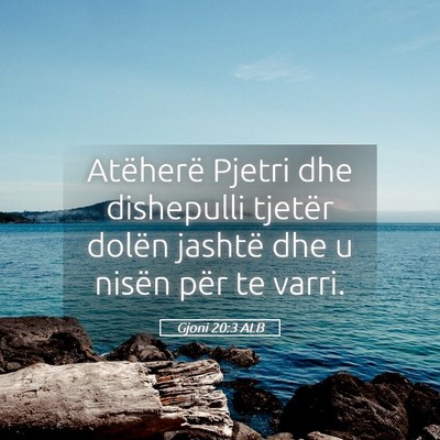 Picture 05 - Gjoni 20:3 ALB - Atëherë Pjetri dhe dishepulli tjetër dolën - Bible Verse Picture