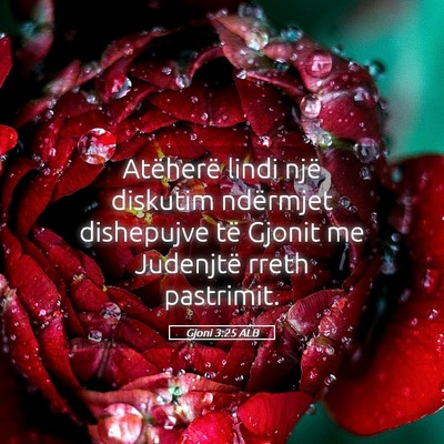 Picture 05 - Gjoni 3:25 ALB - Atëherë lindi një diskutim ndërmjet - Bible Verse Picture