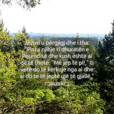Picture 05 - Gjoni 4:10 ALB - Jezusi u përgjigj dhe i tha: “Po ta njihje ti - Bible Verse Picture