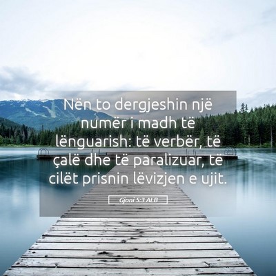 Picture 05 - Gjoni 5:3 ALB - Nën to dergjeshin një numër i madh të - Bible Verse Picture