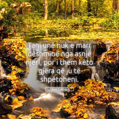 Picture 05 - Gjoni 5:34 ALB - Tani unë nuk e marr dëshminë nga asnjë njeri, - Bible Verse Picture