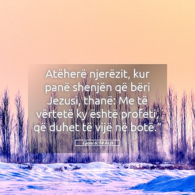Picture 05 - Gjoni 6:14 ALB - Atëherë njerëzit, kur panë shenjën që bëri - Bible Verse Picture