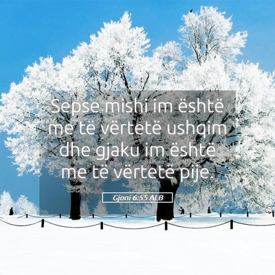 Picture 05 - Gjoni 6:55 ALB - Sepse mishi im është me të vërtetë ushqim - Bible Verse Picture
