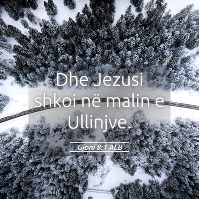 Picture 05 - Gjoni 8:1 ALB - Dhe Jezusi shkoi në malin e - Bible Verse Picture