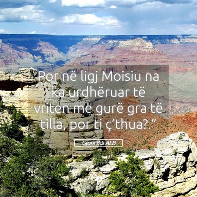 Picture 05 - Gjoni 8:5 ALB - Por në ligj Moisiu na ka urdhëruar të vriten - Bible Verse Picture