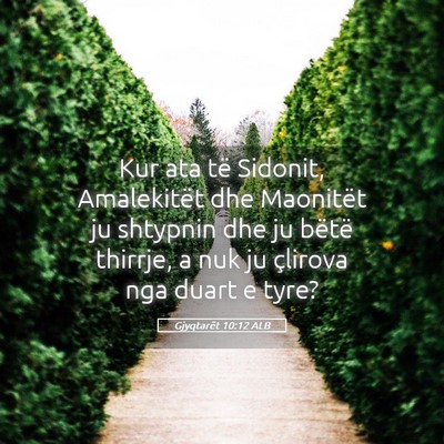 Picture 05 - Gjyqtarët 10:12 ALB - Kur ata të Sidonit, Amalekitët dhe Maonitët ju - Bible Verse Picture