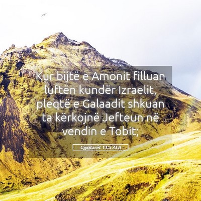 Picture 05 - Gjyqtarët 11:5 ALB - Kur bijtë e Amonit filluan luftën kundër - Bible Verse Picture