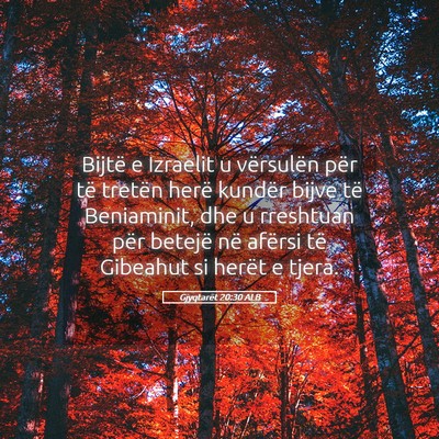 Picture 05 - Gjyqtarët 20:30 ALB - Bijtë e Izraelit u vërsulën për të tretën - Bible Verse Picture