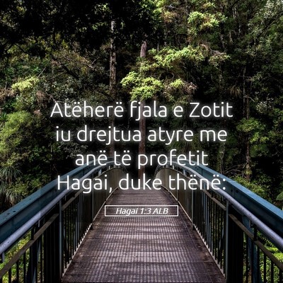 Picture 05 - Hagai 1:3 ALB - Atëherë fjala e Zotit iu drejtua atyre me anë - Bible Verse Picture