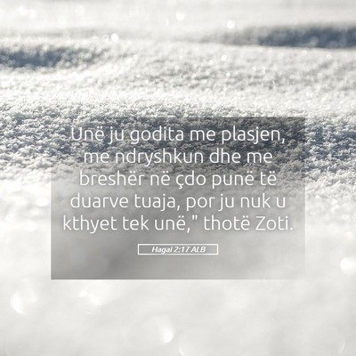 Picture 05 - Hagai 2:17 ALB - Unë ju godita me plasjen, me ndryshkun dhe me - Bible Verse Picture
