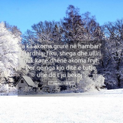Picture 05 - Hagai 2:19 ALB - a ka akoma grurë në hambar? Hardhia, fiku, - Bible Verse Picture