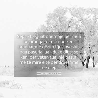 Picture 05 - Hebrenjve 10:34 ALB - Sepse treguat dhembje për mua në prangat e mia - Bible Verse Picture