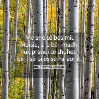 Picture 05 - Hebrenjve 11:24 ALB - Me anë të besimit Moisiu, si u bë i madh, nuk - Bible Verse Picture
