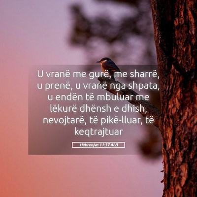 Picture 05 - Hebrenjve 11:37 ALB - U vranë me gurë, me sharrë, u prenë, u vranë - Bible Verse Picture