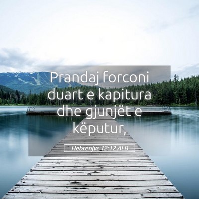 Picture 05 - Hebrenjve 12:12 ALB - Prandaj forconi duart e kapitura dhe gjunjët e - Bible Verse Picture