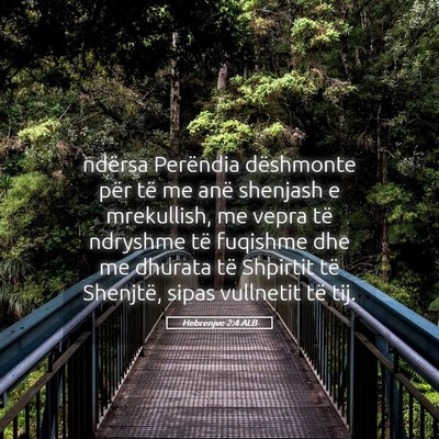 Picture 05 - Hebrenjve 2:4 ALB - ndërsa Perëndia dëshmonte për të me anë - Bible Verse Picture