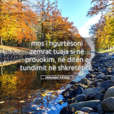 Picture 05 - Hebrenjve 3:8 ALB - mos i ngurtësoni zemrat tuaja si në provokim, - Bible Verse Picture