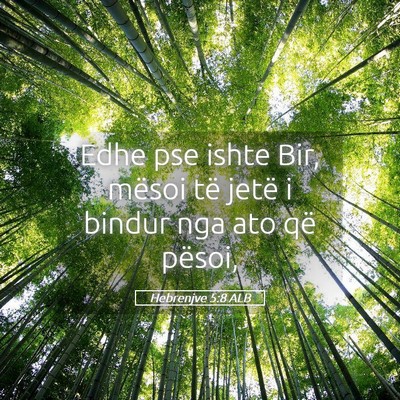 Picture 05 - Hebrenjve 5:8 ALB - Edhe pse ishte Bir, mësoi të jetë i bindur nga - Bible Verse Picture