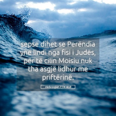 Picture 05 - Hebrenjve 7:14 ALB - sepse dihet se Perëndia ynë lindi nga fisi i - Bible Verse Picture