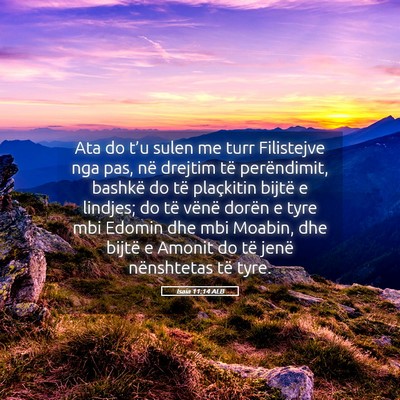 Picture 05 - Isaia 11:14 ALB - Ata do t’u sulen me turr Filistejve nga pas, - Bible Verse Picture