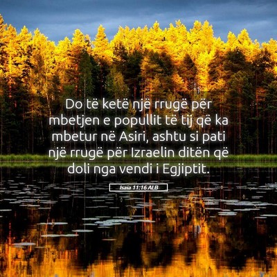 Picture 05 - Isaia 11:16 ALB - Do të ketë një rrugë për mbetjen e popullit - Bible Verse Picture