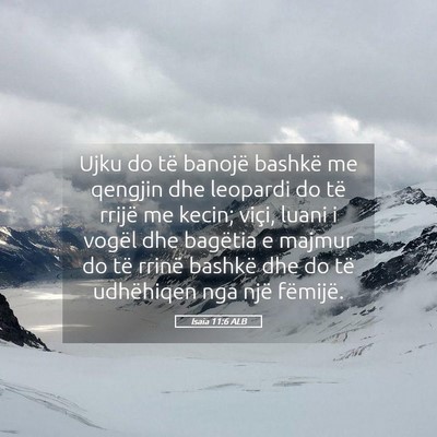 Picture 05 - Isaia 11:6 ALB - Ujku do të banojë bashkë me qengjin dhe - Bible Verse Picture