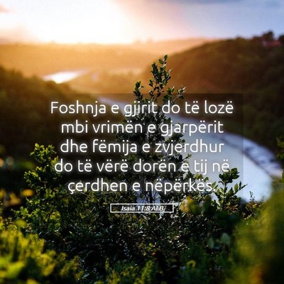 Picture 05 - Isaia 11:8 ALB - Foshnja e gjirit do të lozë mbi vrimën e - Bible Verse Picture