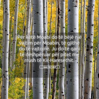 Picture 05 - Isaia 16:7 ALB - Për këtë Moabi do të bëjë një vajtim për - Bible Verse Picture