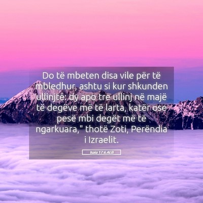 Picture 05 - Isaia 17:6 ALB - Do të mbeten disa vile për të mbledhur, ashtu - Bible Verse Picture