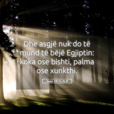 Picture 05 - Isaia 19:15 ALB - Dhe asgjë nuk do të mund të bëjë Egjiptin: - Bible Verse Picture