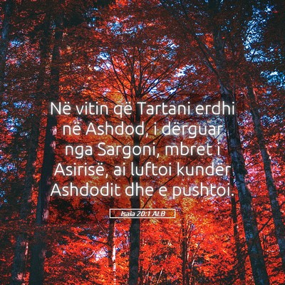 Picture 05 - Isaia 20:1 ALB - Në vitin që Tartani erdhi në Ashdod, i - Bible Verse Picture