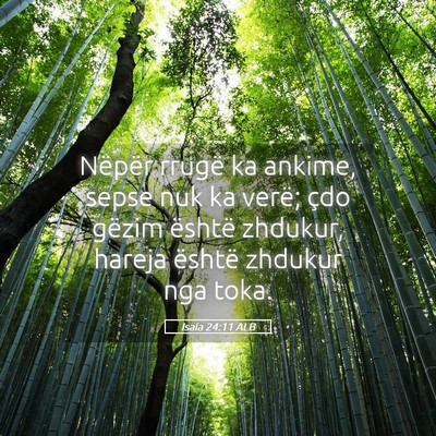 Picture 05 - Isaia 24:11 ALB - Nëpër rrugë ka ankime, sepse nuk ka verë; - Bible Verse Picture