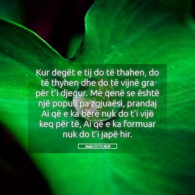 Picture 05 - Isaia 27:11 ALB - Kur degët e tij do të thahen, do të thyhen dhe - Bible Verse Picture