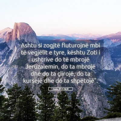 Picture 05 - Isaia 31:5 ALB - Ashtu si zogjtë fluturojnë mbi të vegjëlit e - Bible Verse Picture