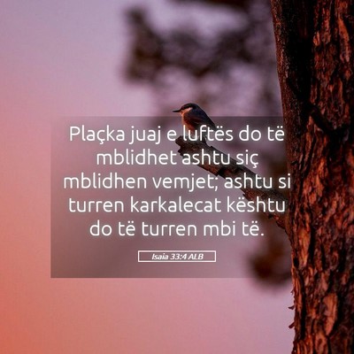 Picture 05 - Isaia 33:4 ALB - Plaçka juaj e luftës do të mblidhet ashtu siç - Bible Verse Picture