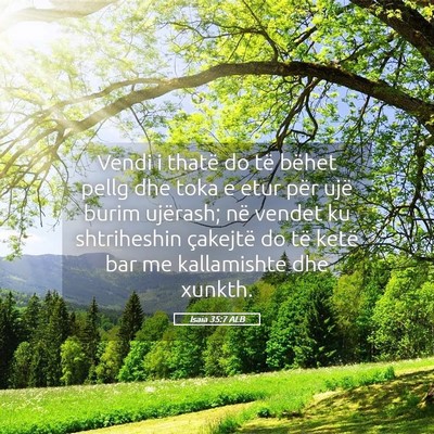 Picture 05 - Isaia 35:7 ALB - Vendi i thatë do të bëhet pellg dhe toka e - Bible Verse Picture