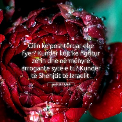 Picture 05 - Isaia 37:23 ALB - Cilin ke poshtëruar dhe fyer? Kundër kujt ke - Bible Verse Picture