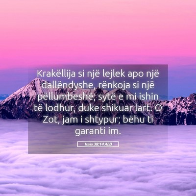 Picture 05 - Isaia 38:14 ALB - Krakëllija si një lejlek apo një dallëndyshe, - Bible Verse Picture