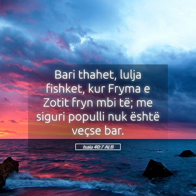 Picture 05 - Isaia 40:7 ALB - Bari thahet, lulja fishket, kur Fryma e Zotit - Bible Verse Picture