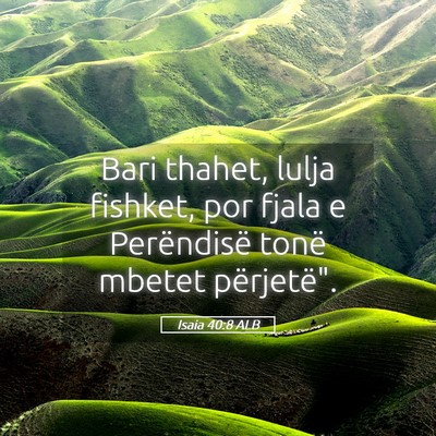 Picture 05 - Isaia 40:8 ALB - Bari thahet, lulja fishket, por fjala e - Bible Verse Picture