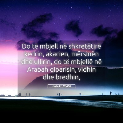 Picture 05 - Isaia 41:19 ALB - Do të mbjell në shkretëtirë kedrin, akacien, - Bible Verse Picture