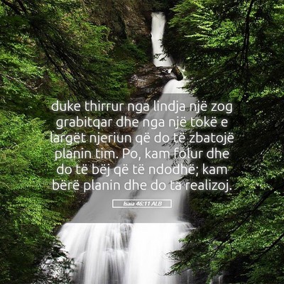 Picture 05 - Isaia 46:11 ALB - duke thirrur nga lindja një zog grabitqar dhe - Bible Verse Picture
