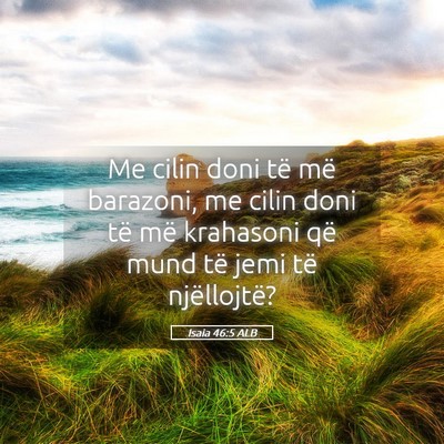 Picture 05 - Isaia 46:5 ALB - Me cilin doni të më barazoni, me cilin doni të - Bible Verse Picture