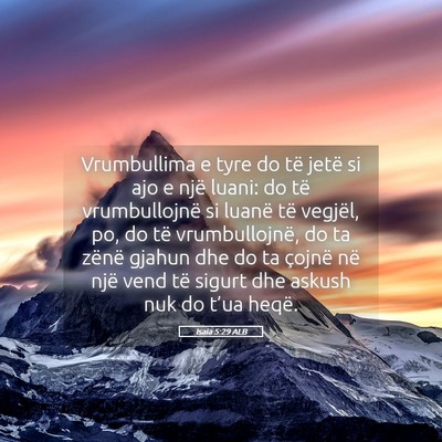 Picture 05 - Isaia 5:29 ALB - Vrumbullima e tyre do të jetë si ajo e një - Bible Verse Picture