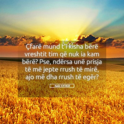 Picture 05 - Isaia 5:4 ALB - Çfarë mund t’i kisha bërë vreshtit tim që - Bible Verse Picture