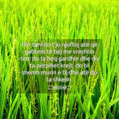 Picture 05 - Isaia 5:5 ALB - Por tani do t’ju njoftoj atë që gatitem të - Bible Verse Picture