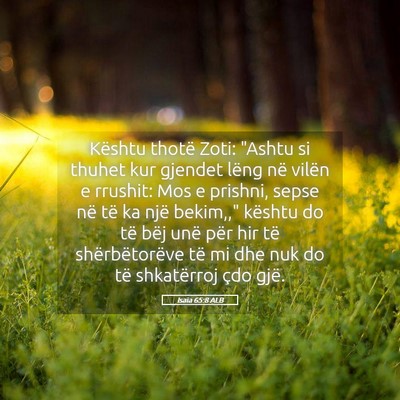 Picture 05 - Isaia 65:8 ALB - Kështu thotë Zoti: 