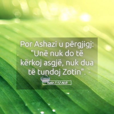 Picture 05 - Isaia 7:12 ALB - Por Ashazi u përgjigj: 
