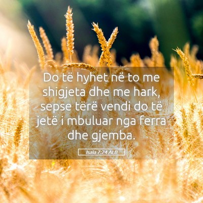 Picture 05 - Isaia 7:24 ALB - Do të hyhet në to me shigjeta dhe me hark, - Bible Verse Picture